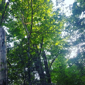 IMG_20170607_073813_714