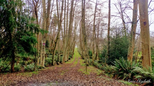 0111201255b_HDR_Signature(1)