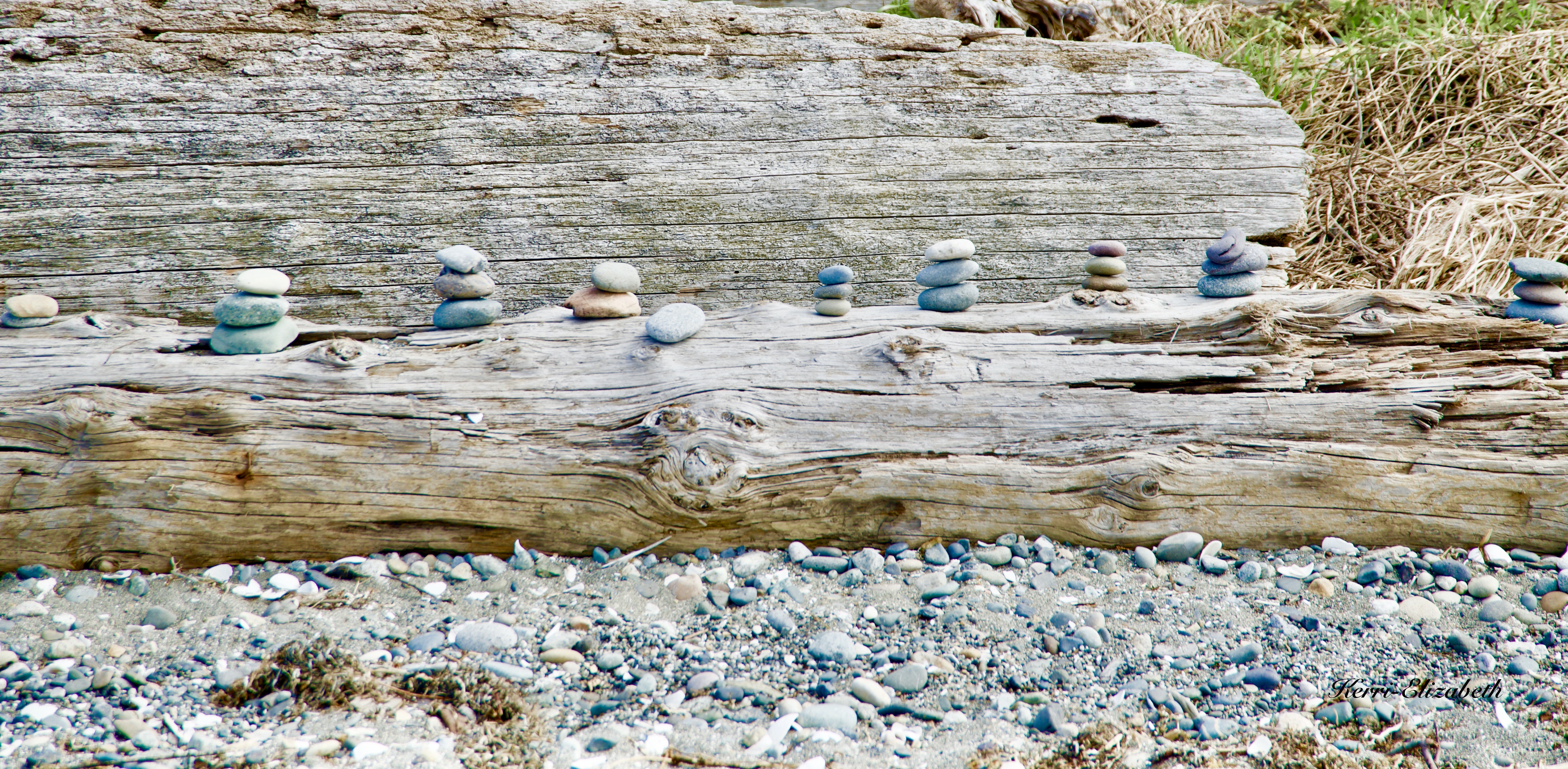 CB12E467-1C9A-4E90-A137-1DA0788CDECE_1_201_a