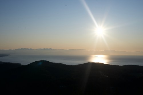 1DB1D174-AEF3-4103-A689-71F7E3559B1E_1_100_o